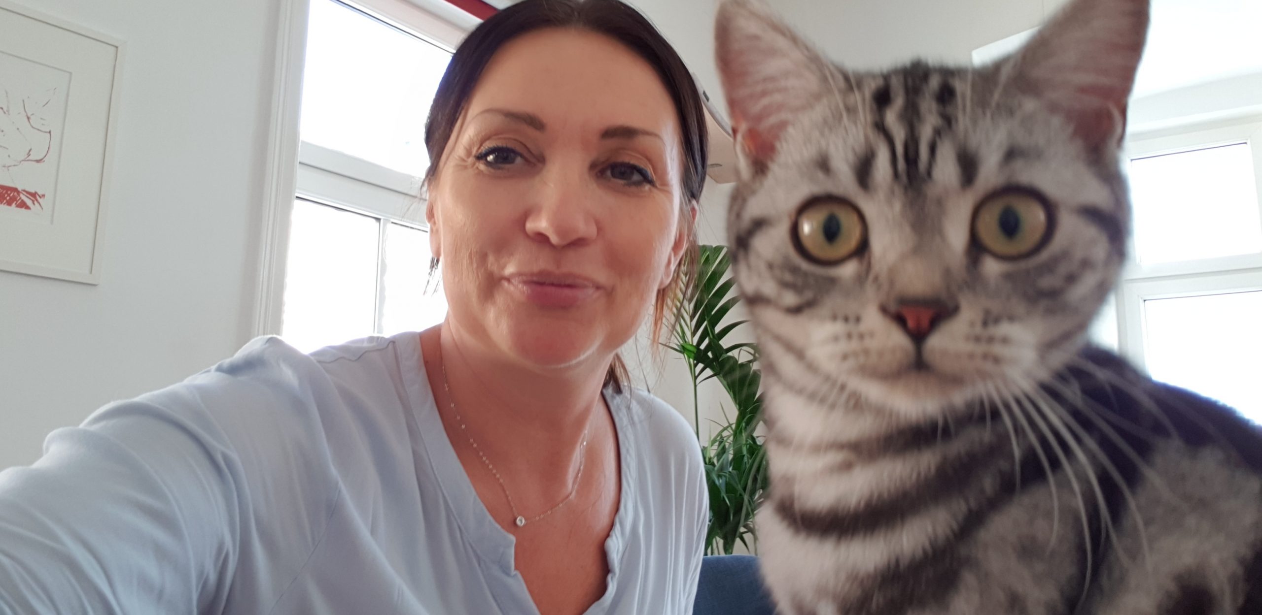 petraott kater schreit.