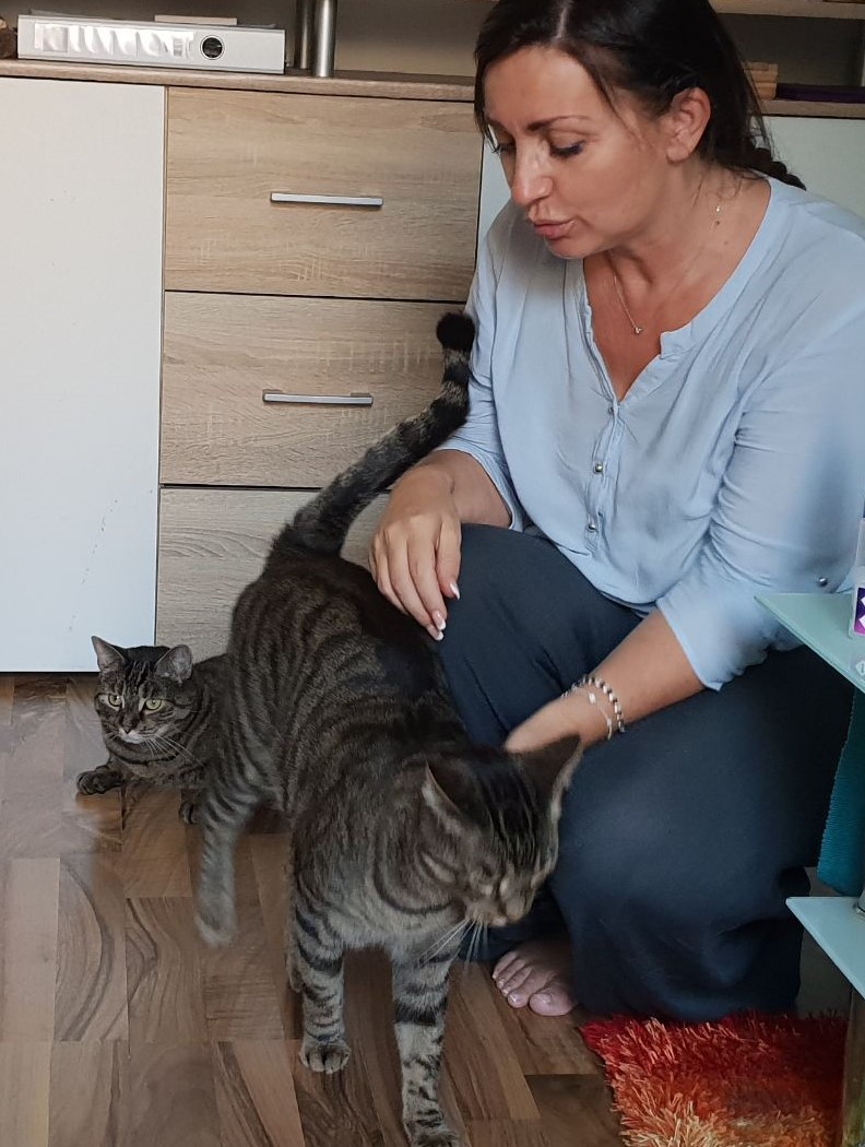 #petraott #pinkelkatze