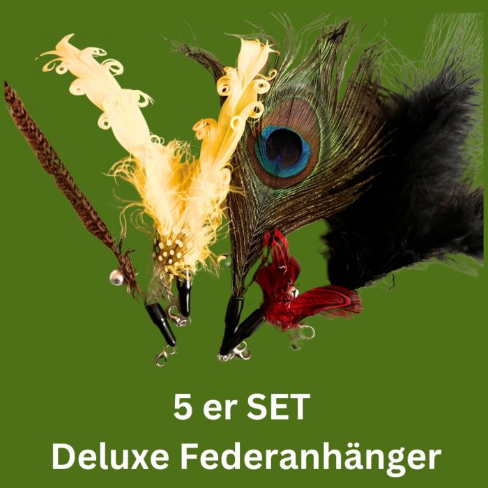 5er Set Anhänger verschiedener Federn für die Katzenspielangel